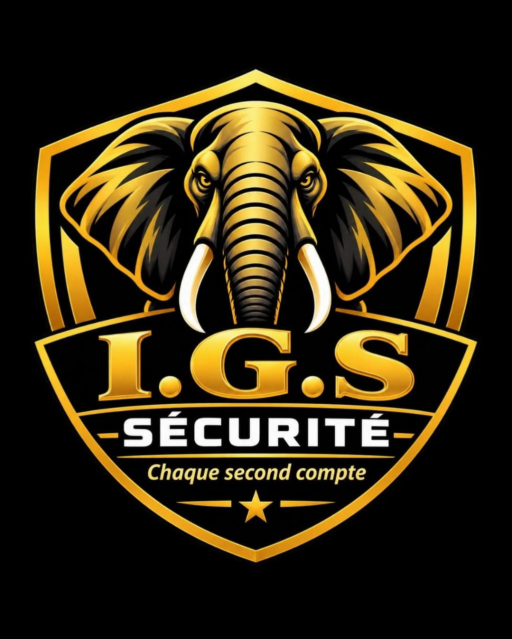 Blason IGS Sécurité